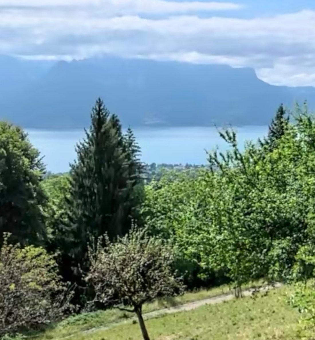 Land in Blonay - Saint-Légier, Vaud, Switzerland 1 - 18580589