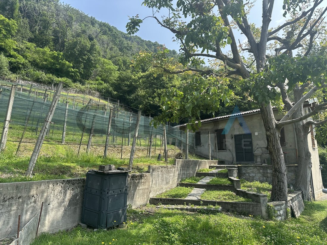 Land in Castel San Pietro TI, Tessin, Schweiz 4 - 18580585