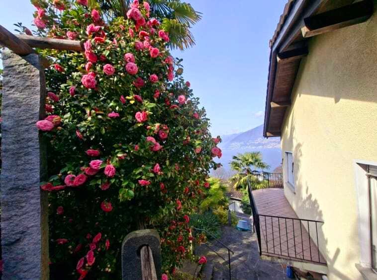 Apartment in Gambarogno, Ticino, Switzerland 2 - 18581191