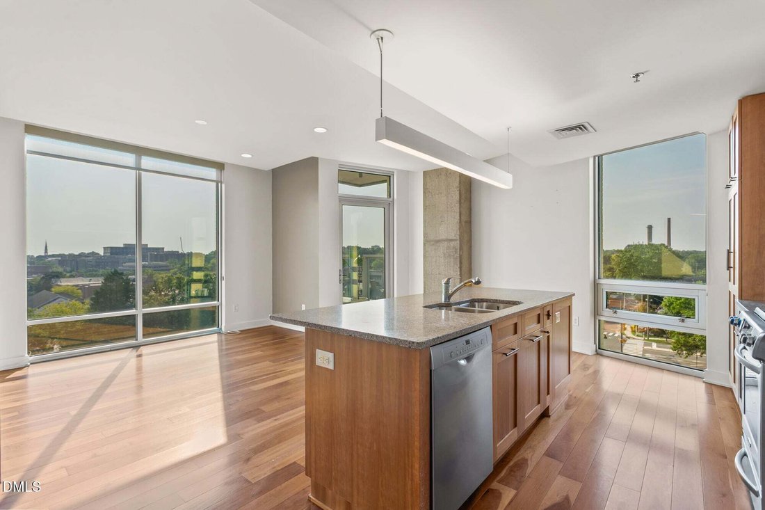 Condo in Chapel Hill, North Carolina, United States 5 - 17836874