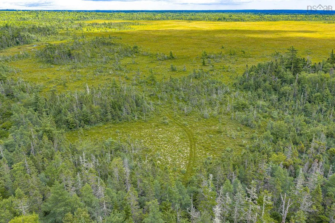 Land in Allendale, Nova Scotia, Canada 3 - 18584770