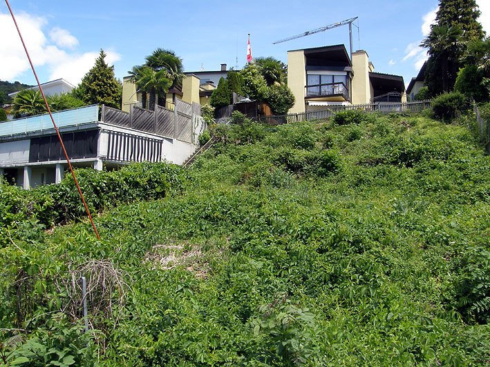 Land in Lugano, Ticino, Switzerland 2 - 18580577
