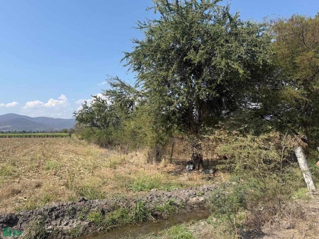 Land in El Mirador, Morelos, Mexico 1 - 17814529