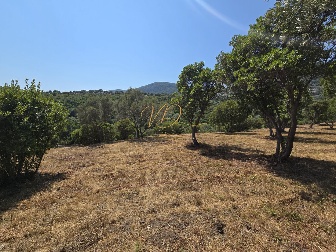 Land in Sud, Cavalaire-sur-Mer, France 2 - 18585213