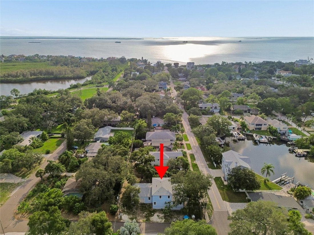 House in Palm Harbor, Florida, United States 2 - 18586040