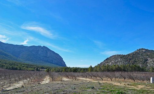 Land in Mula, Murcia, Spanien 1