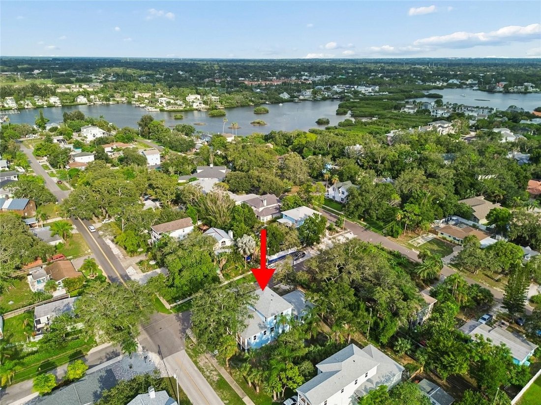 House in Palm Harbor, Florida, United States 3 - 18586040