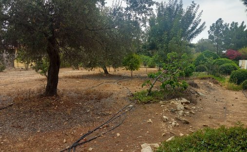 Terreno en Kouklia, Distrito de Pafos, Chipre 1