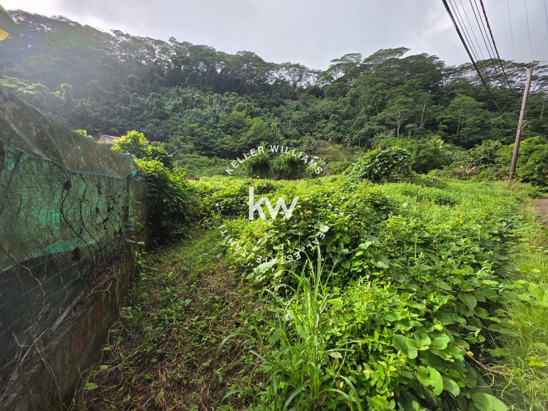 Land in Hitiaa O Te Ra, Windward Islands, French Polynesia 5 - 18586161