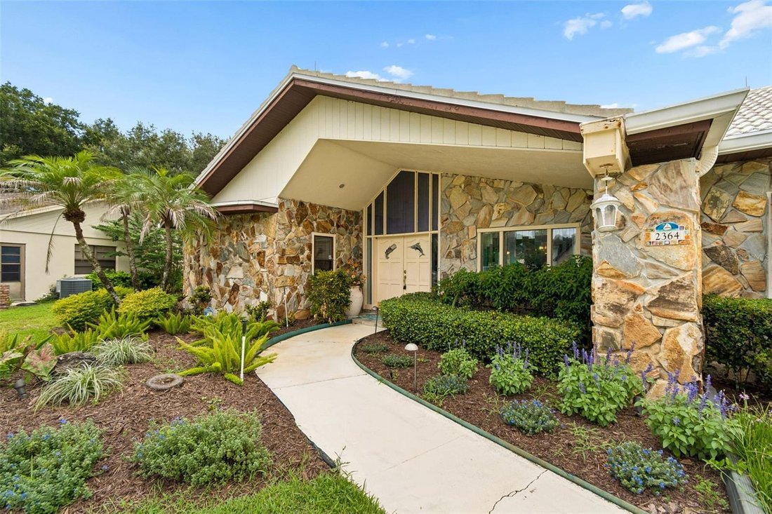 House in Palm Harbor, Florida, United States 4 - 18581610