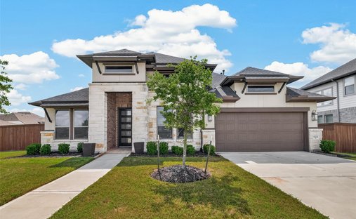House in Rosharon, Texas, United States 1