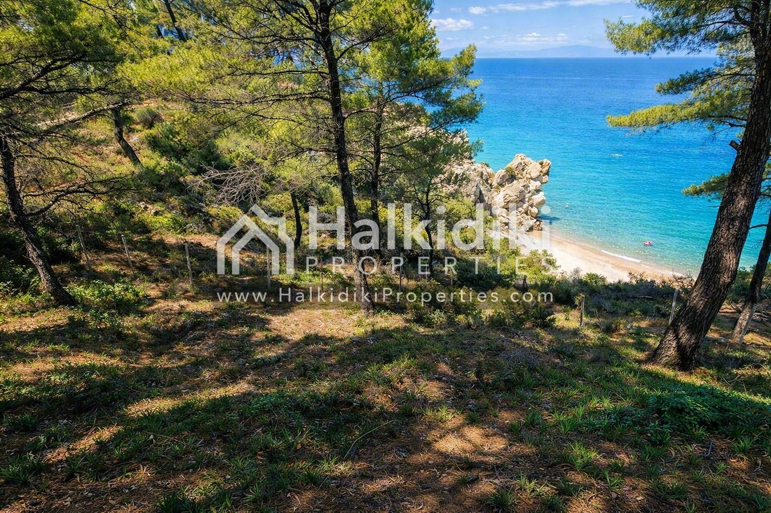 Land in Sithonia, Macedonia and Thrace, Greece 2 - 18577853