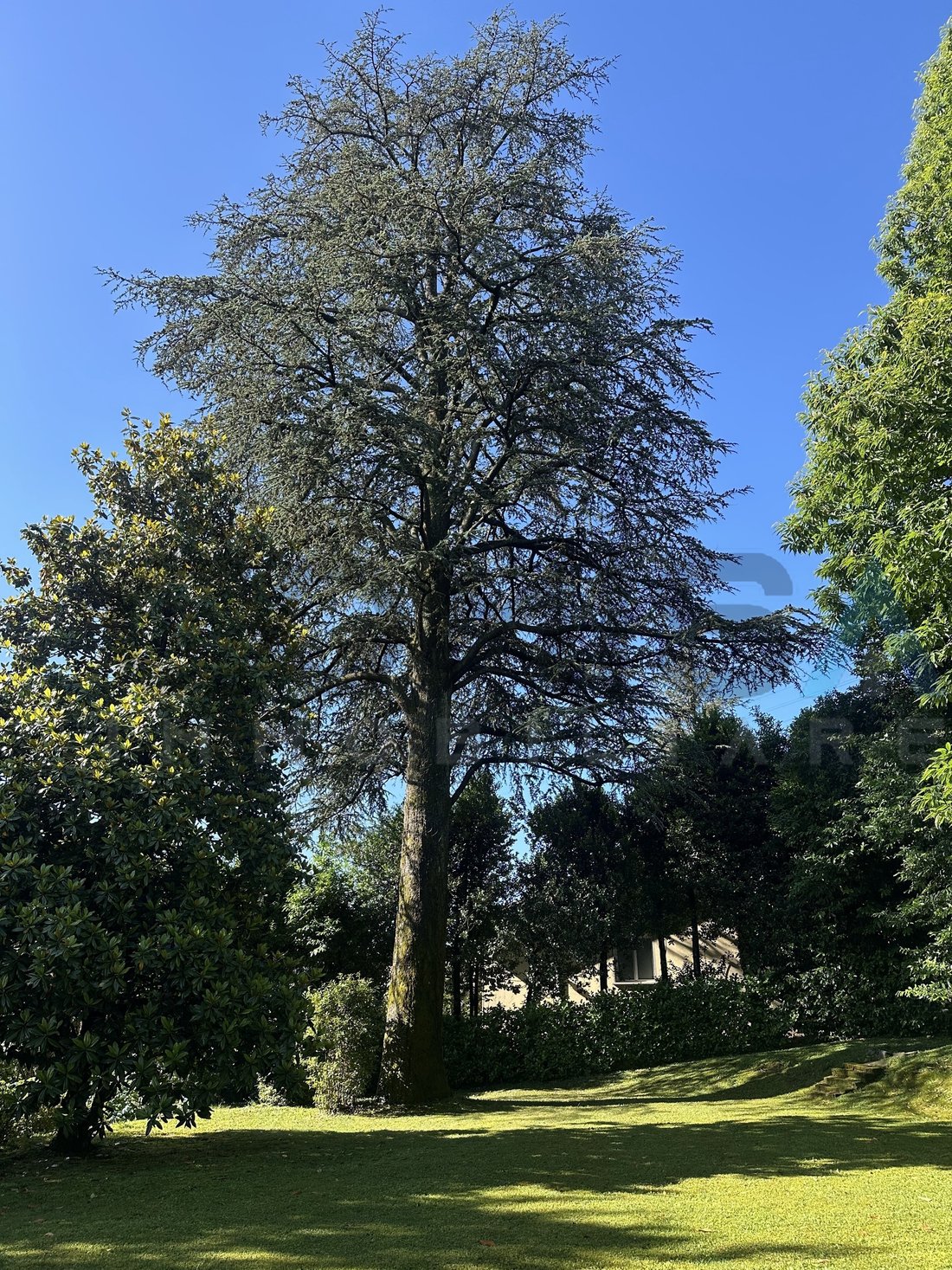 Apartment in Collina d'Oro, Ticino, Switzerland 2 - 18580780