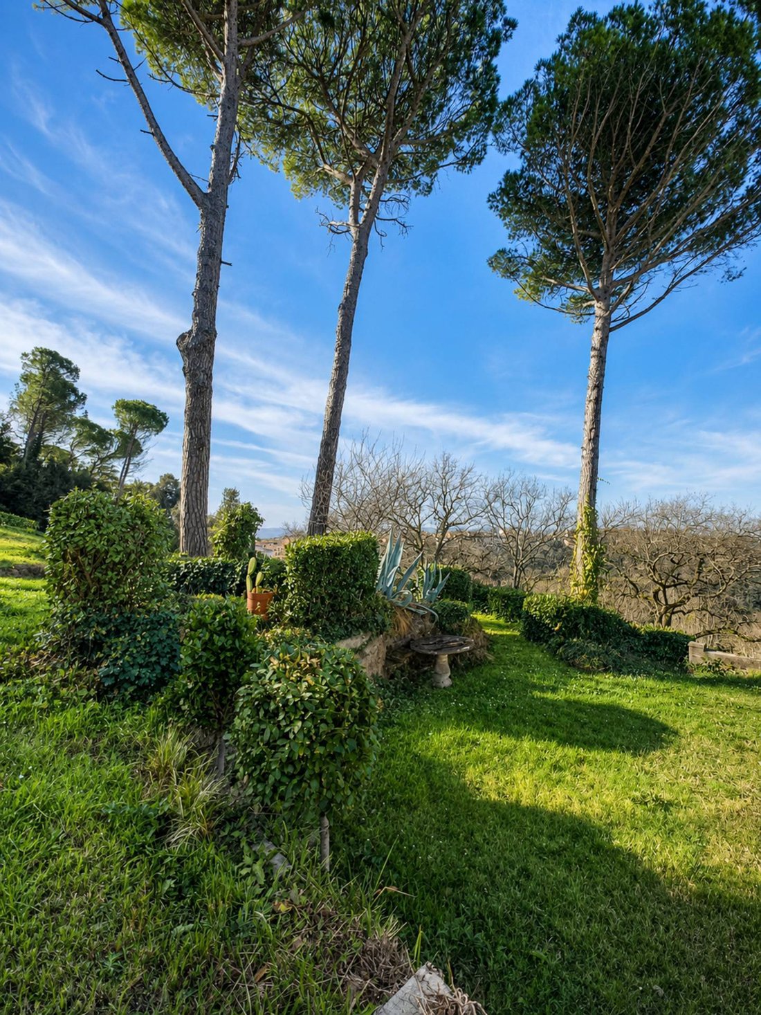 Villa in San Miniato, Tuscany, Italy 5 - 18256564