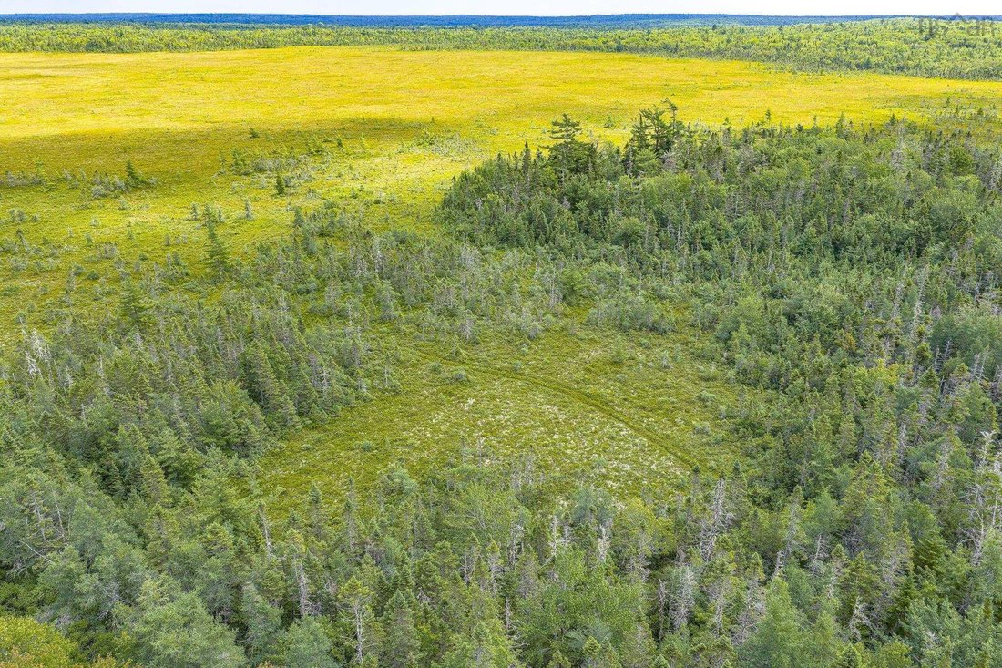 Land in Allendale, Nova Scotia, Canada 4 - 18584770