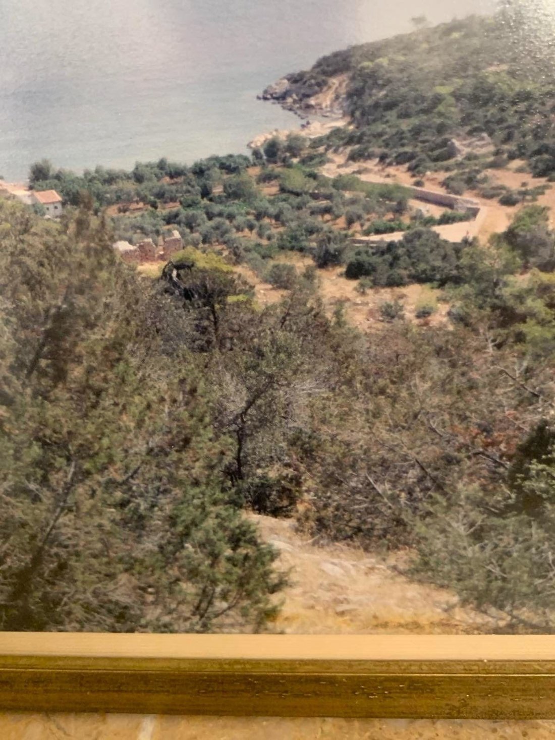 Land in Marathonas, Attica, Greece 2 - 18581883