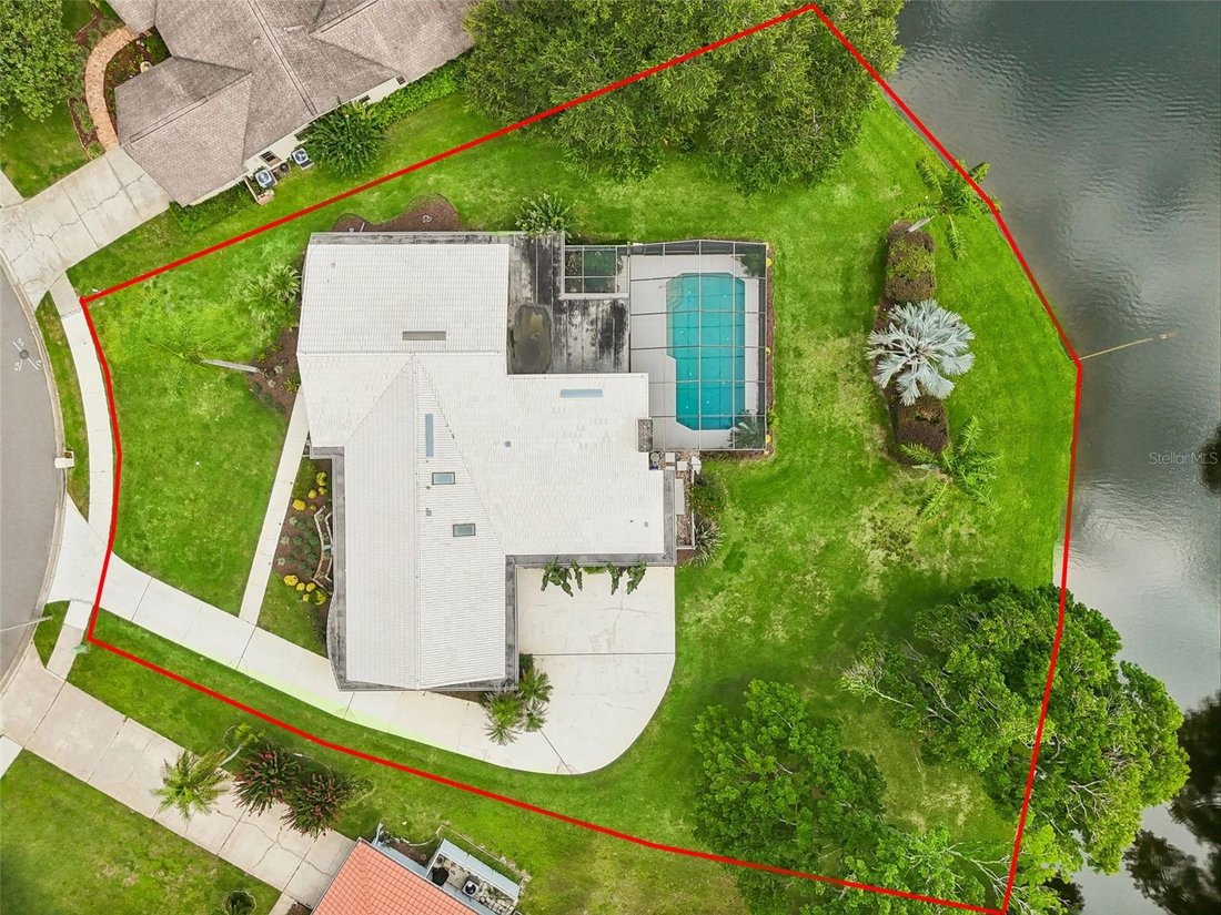 House in Palm Harbor, Florida, United States 3 - 18581610