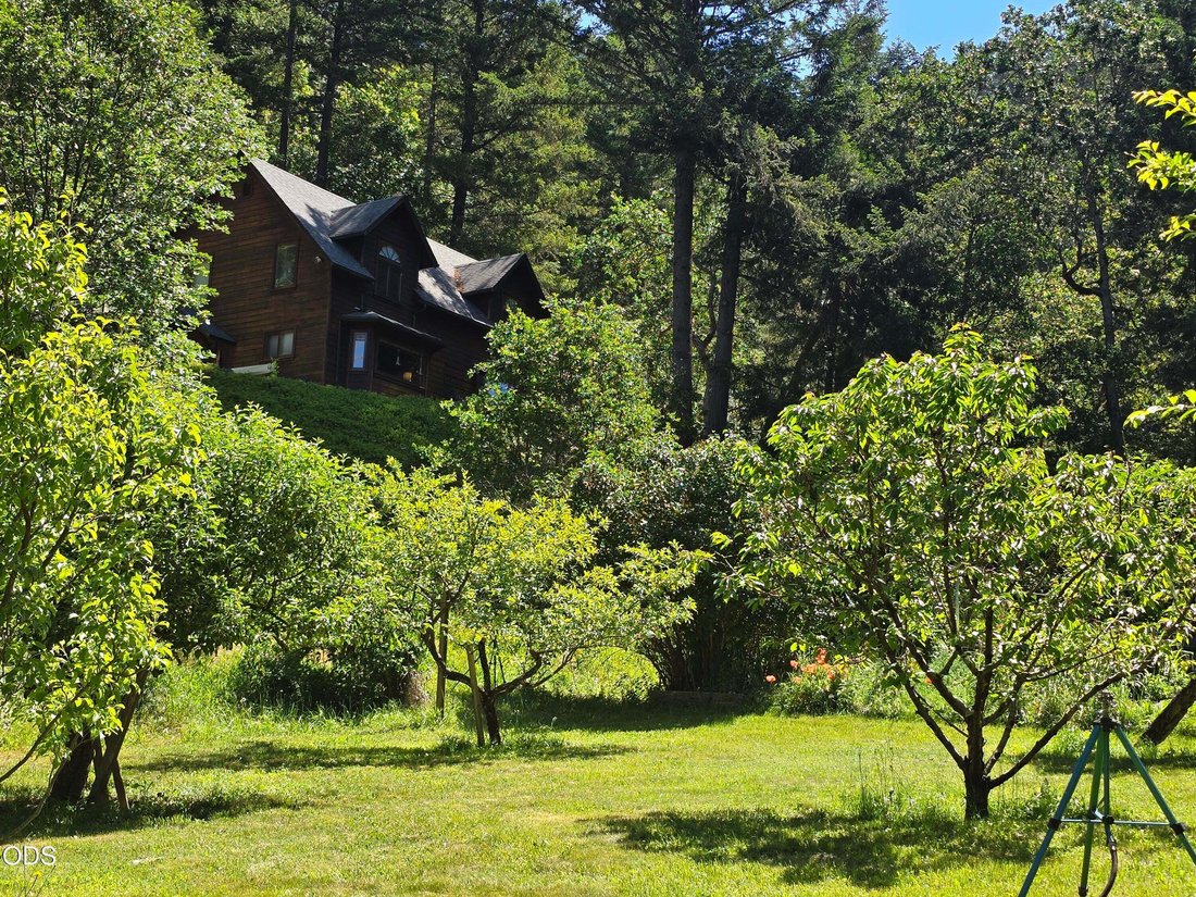 House in Cave Junction, Oregon, United States 2 - 17590526