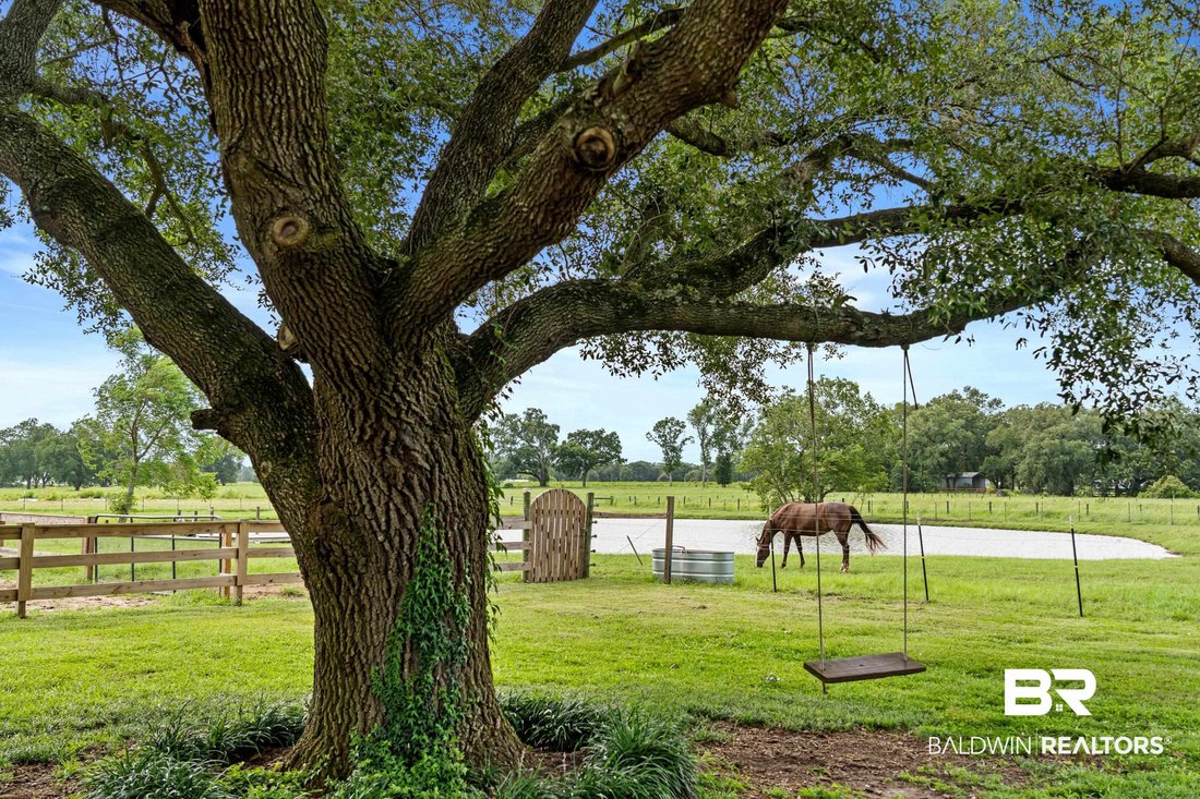 House in Daphne, Alabama, United States 3 - 18468392