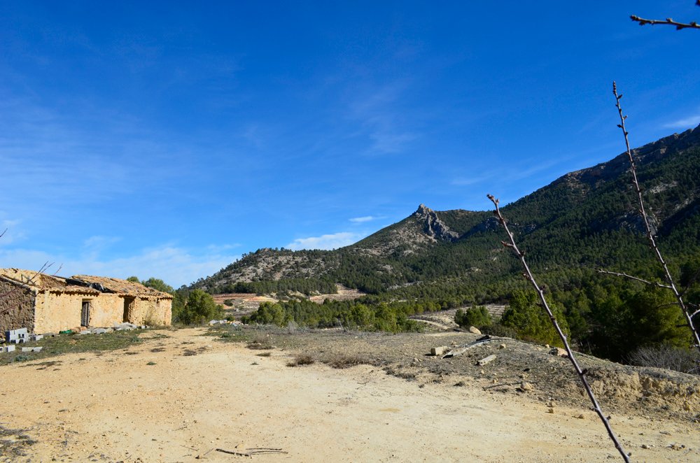 Terreno a Mula, Murcia, Spagna 3 - 18585351