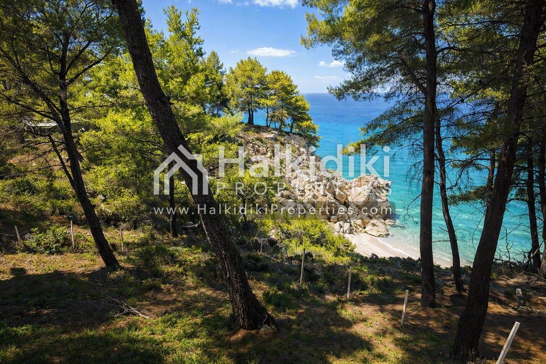 Land in Sithonia, Macedonia and Thrace, Greece 5 - 18577853