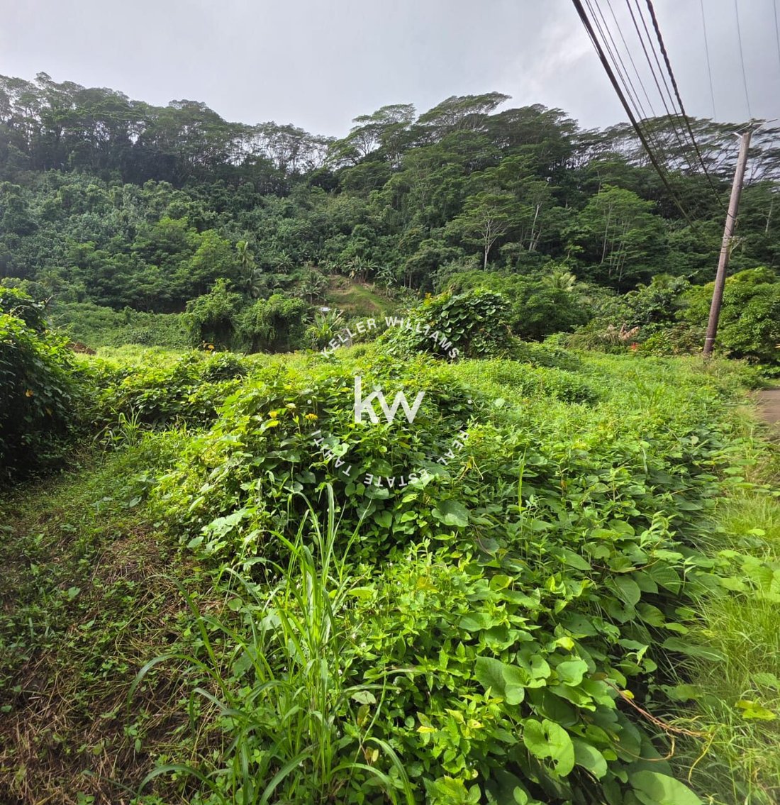 Land in Hitiaa O Te Ra, Windward Islands, French Polynesia 1 - 18586161