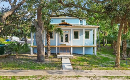 House in Palm Harbor, Florida, United States 1