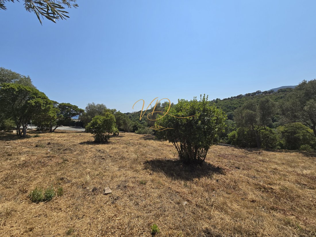 Land in Sud, Cavalaire-sur-Mer, France 2 - 18585216