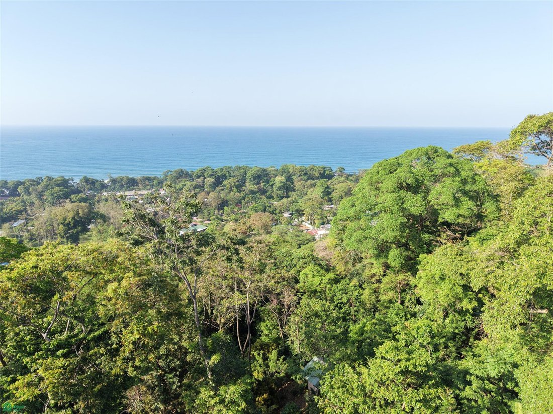 Land in Hone Creek, Limón Province, Costa Rica 5 - 17911487