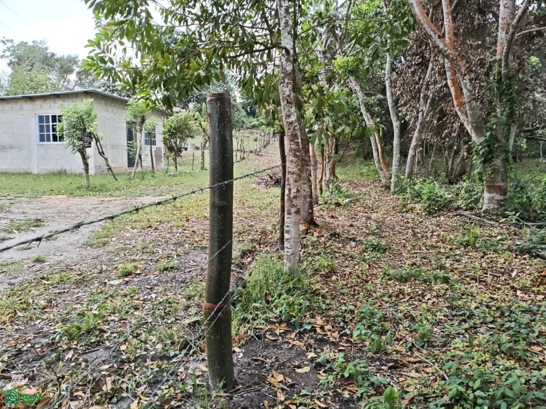 Land in Hermenegildo J. Aldana, Veracruz, Mexico 1 - 18257242