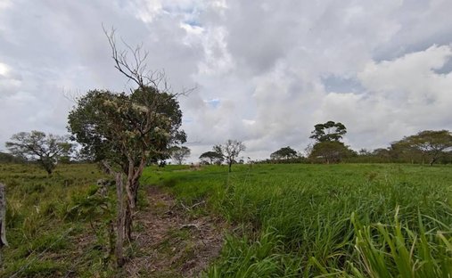 Terreno en Hermenegildo J. Aldana, Veracruz, México 1
