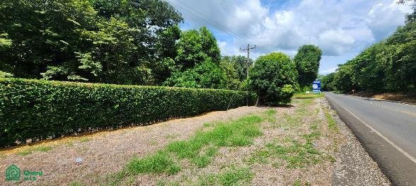 Land in Mansion, Nicoya, Costa Rica 4 - 18269598