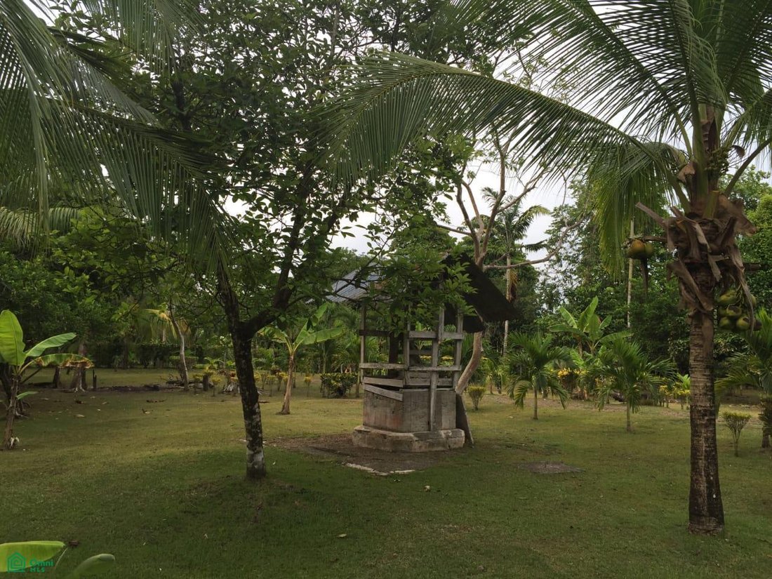Land in Palma, Puntarenas Province, Costa Rica 5 - 17810210