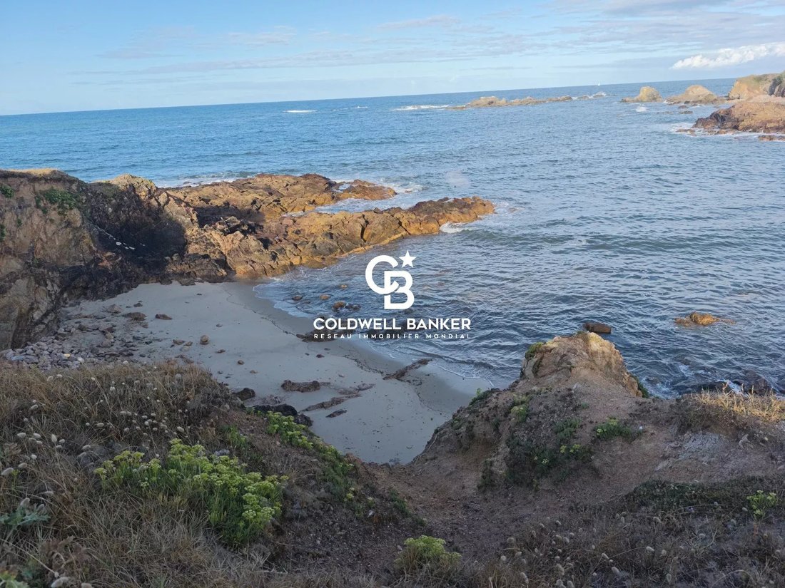 Land in Les Sables-d'Olonne, Pays de la Loire, France 1 - 18582343