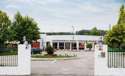 Vila Velha de Rodao, Castelo Branco District, Portugal 1