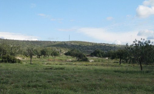 Land in Erimi, Limassol, Cyprus 1