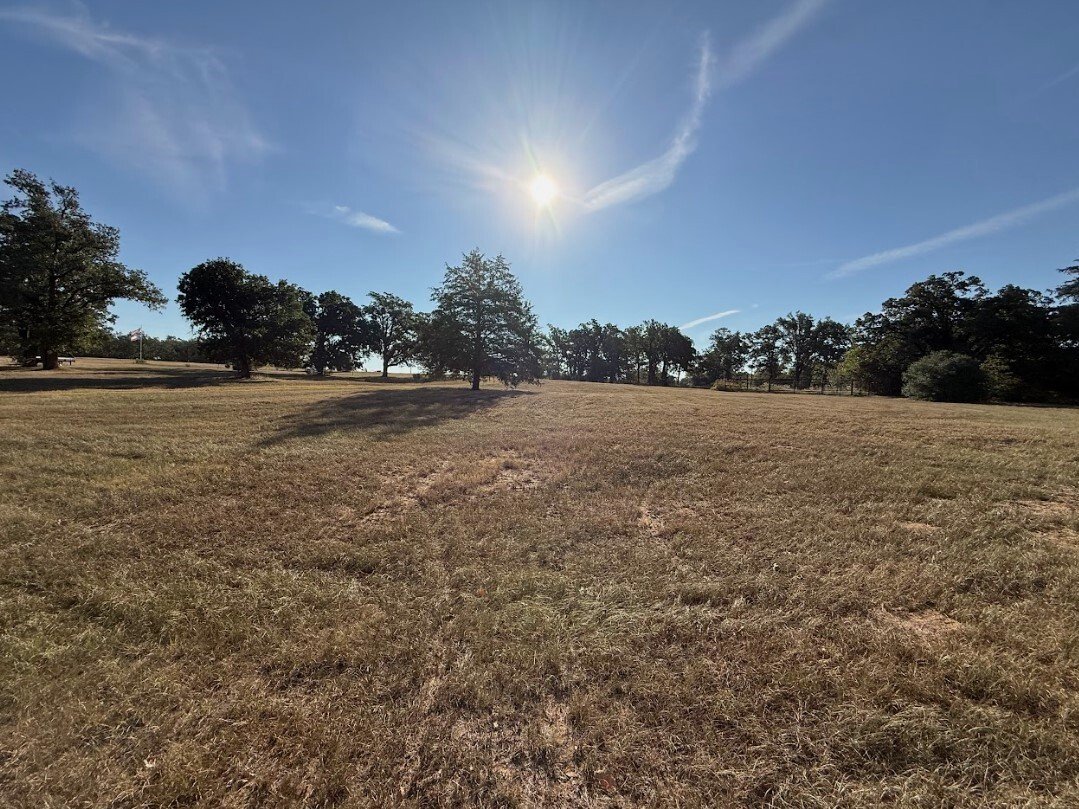 Farm Ranch in Milano, Texas, United States 5 - 16504323