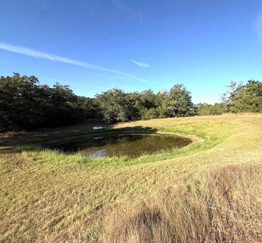 Farm Ranch in Milano, Texas, United States 1 - 16504323