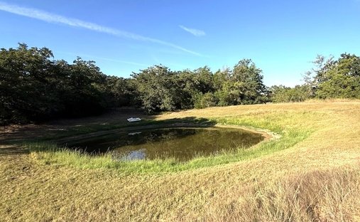 Farm Ranch in Milano, Texas, United States 1