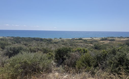 Terrain à Moní, Limassol, Chypre 1