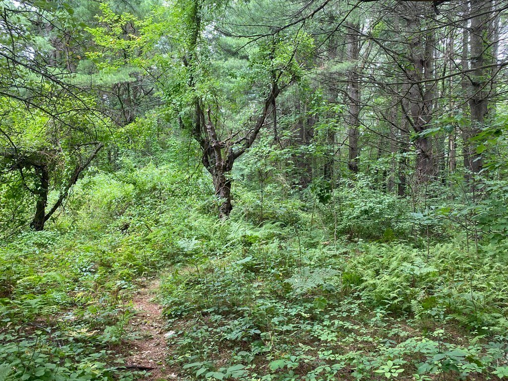 Land in Millbury, Massachusetts, United States 4 - 18587937