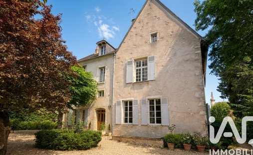 House in Mehun-sur-Yevre, Centre-Val de Loire, France 1