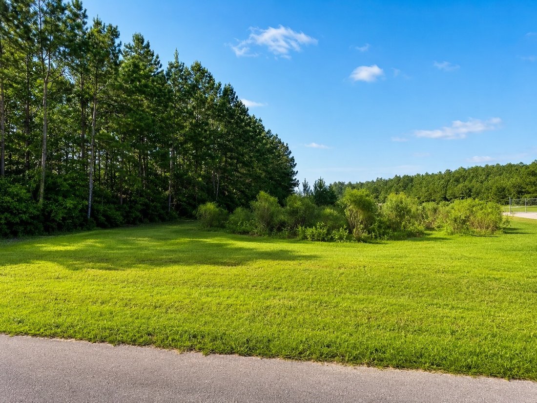 Land in Corrigan, Texas, United States 4 - 18587947