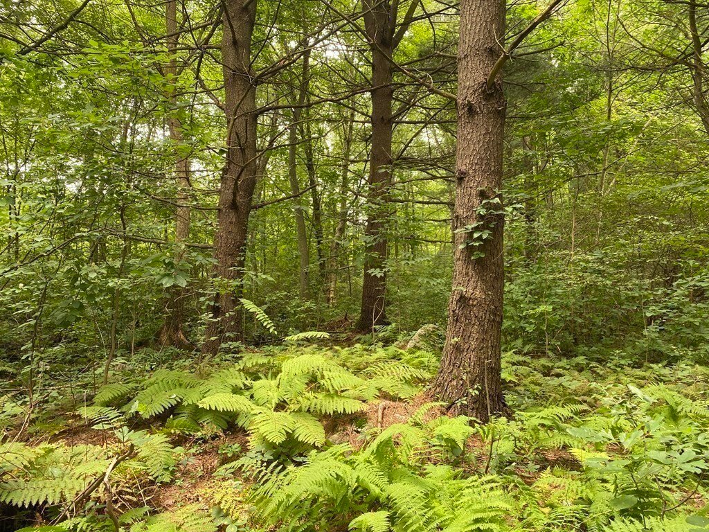 Land in Millbury, Massachusetts, United States 5 - 18587937