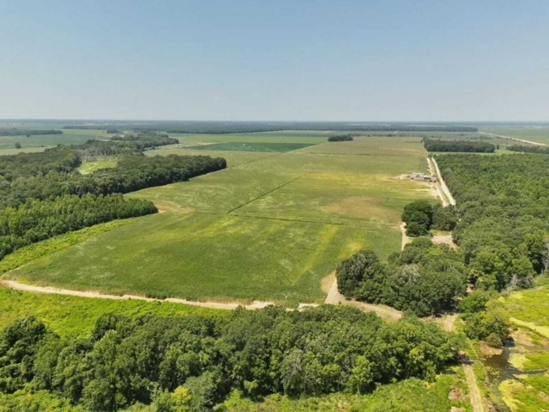 Land in Des Arc, Arkansas, United States 4 - 17842815