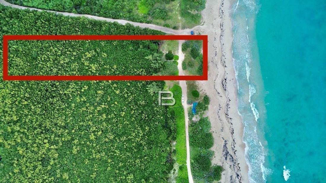 Land in Puerto Morelos, Quintana Roo, Mexico 1 - 18588265