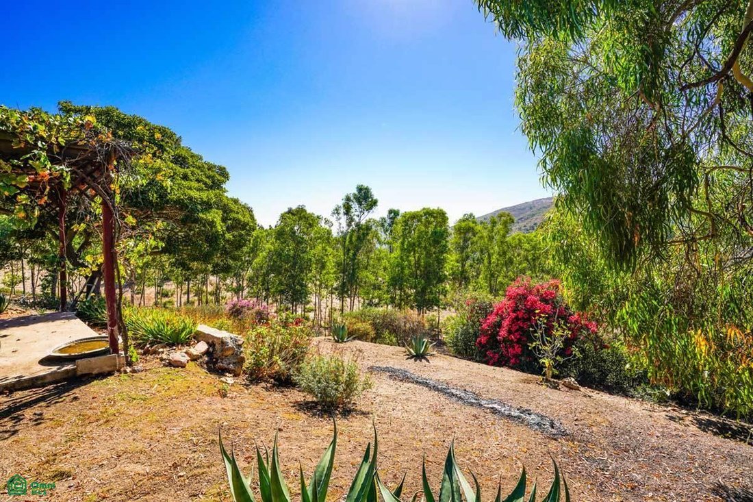 Land in El Gato, Baja California, Mexico 2 - 17814857