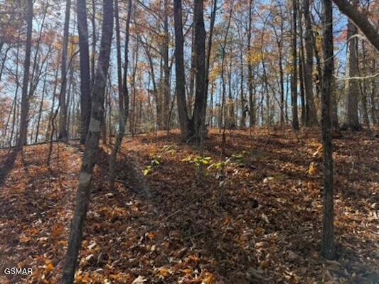 Land in Sevierville, Tennessee, United States 2 - 18589228