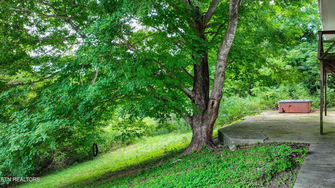 House in Sevierville, Tennessee, United States 3 - 18589529
