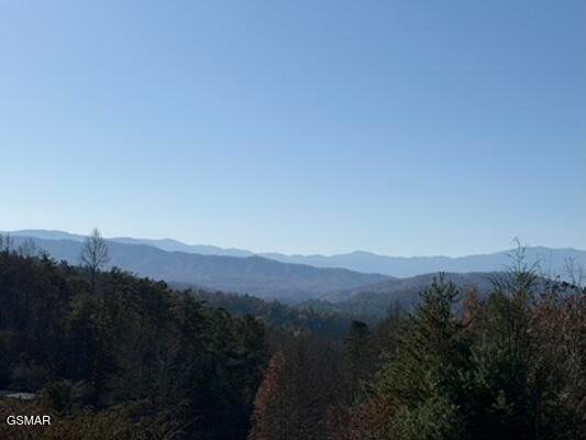 Land in Sevierville, Tennessee, United States 5 - 18589228